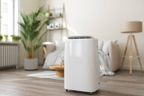 Best Ductless Mini-Split Systems in Mountain Home Af, ID